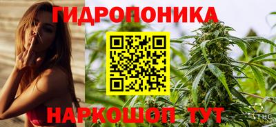 шишки Новозыбков