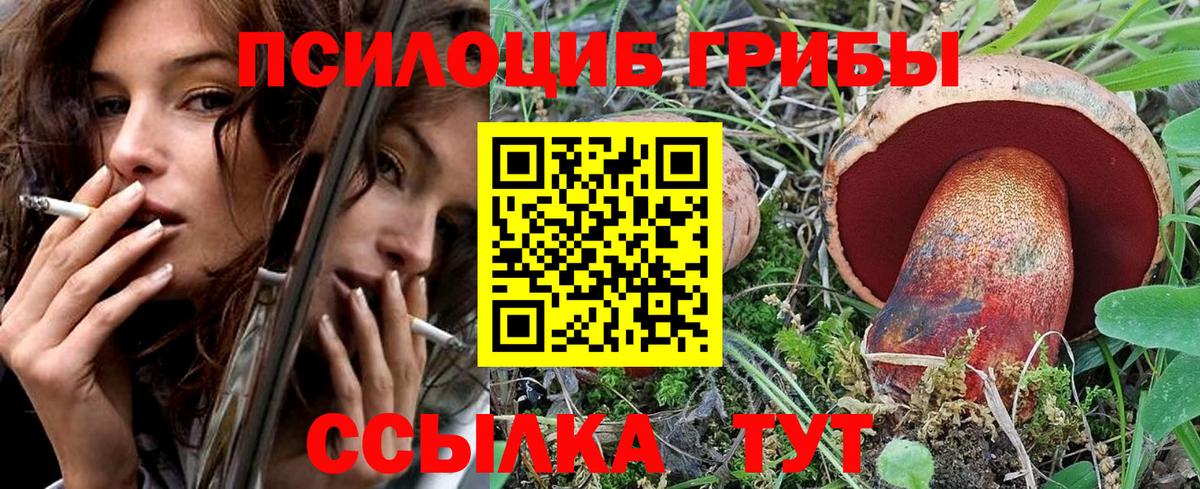 Псилоцибиновые грибы GOLDEN TEACHER  Галлюциногенные грибы Psilocybine cubensis  Валуйки  Вход с VPN 