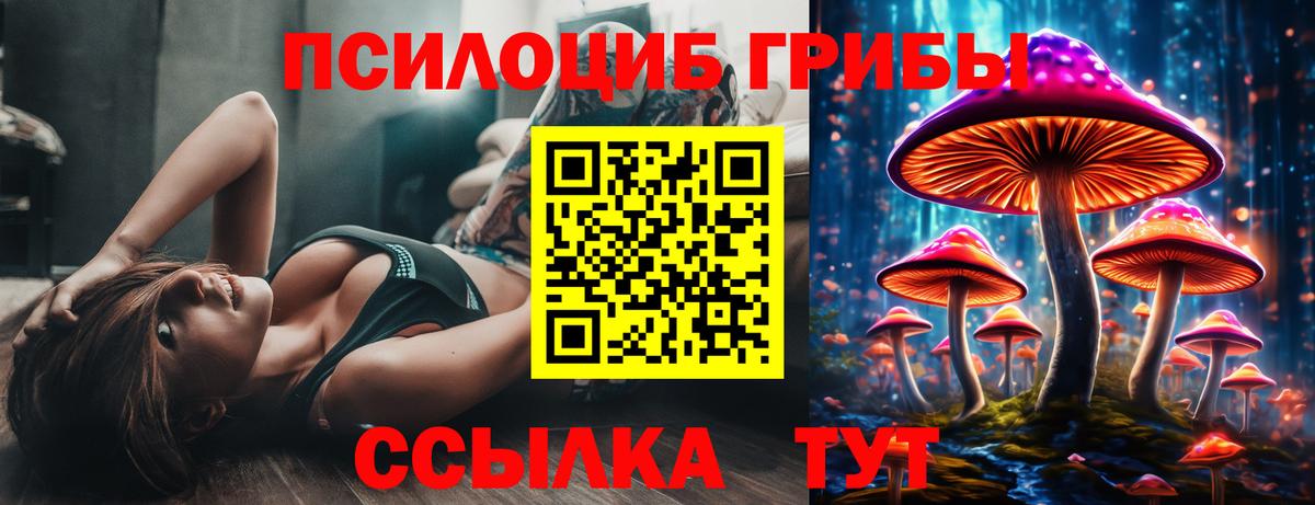 Псилоцибиновые грибы GOLDEN TEACHER Валуйки
